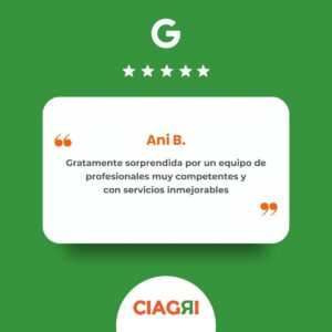 Bollo - ALG Natur Green