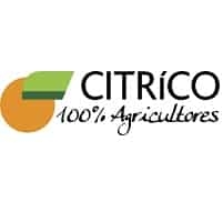 Cítrico