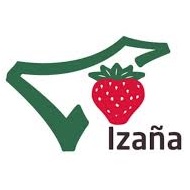 Izaña