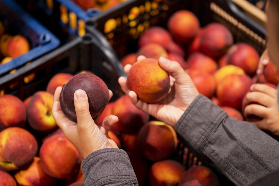 Clasificadora frutas