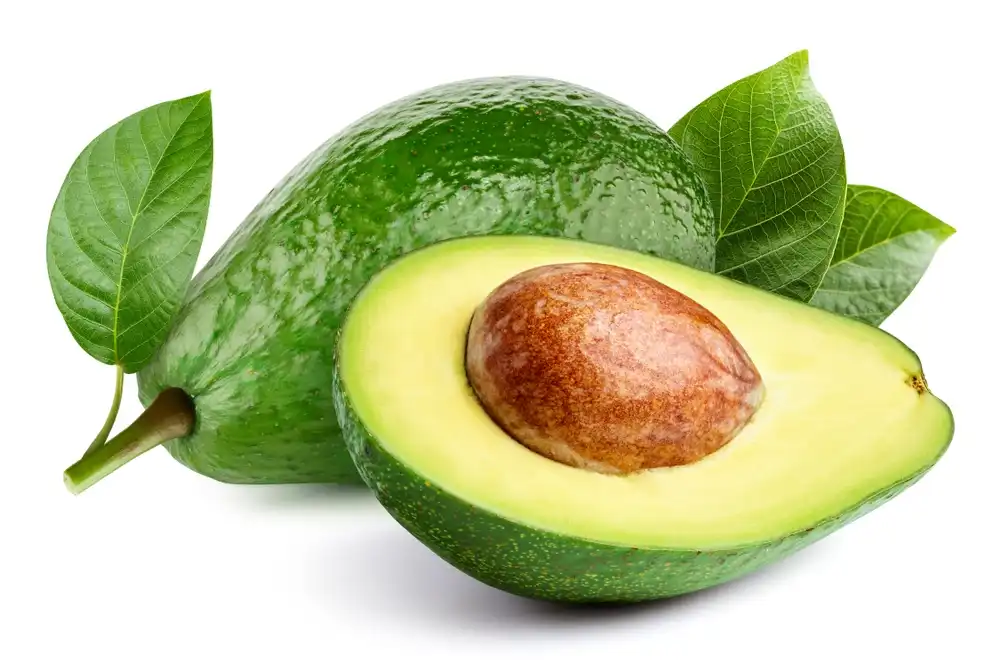 clasificadora de aguacates y mangos