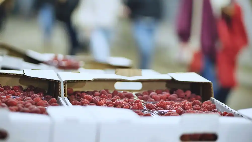 envasado de fruta