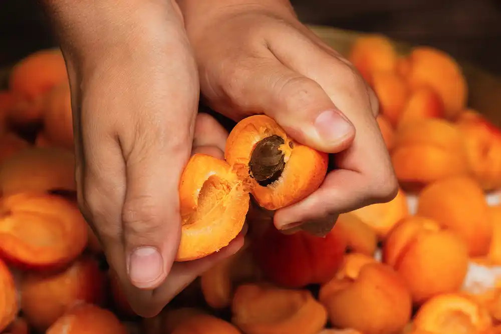 fruta de hueso