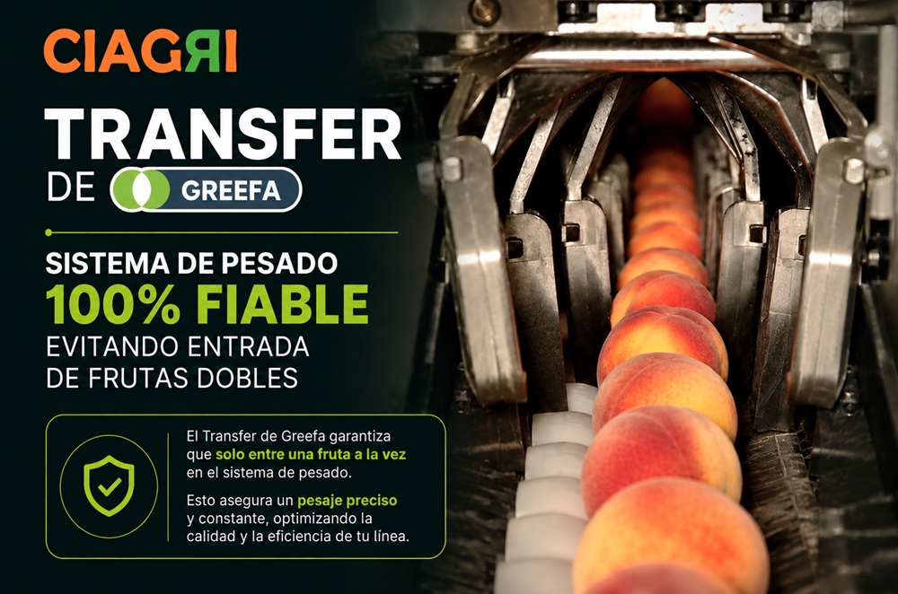 Sistema de Pesado Fiable para Frutas